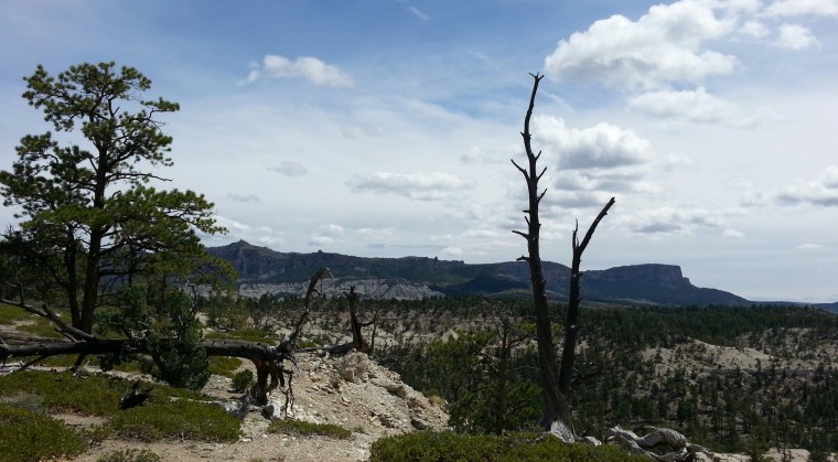 2014-08-21 12.23.48-1