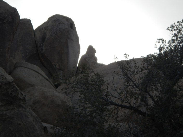 hidden-valley-big-foot