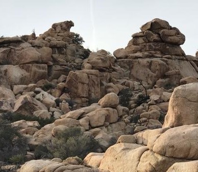 hidden-valley-buffalo