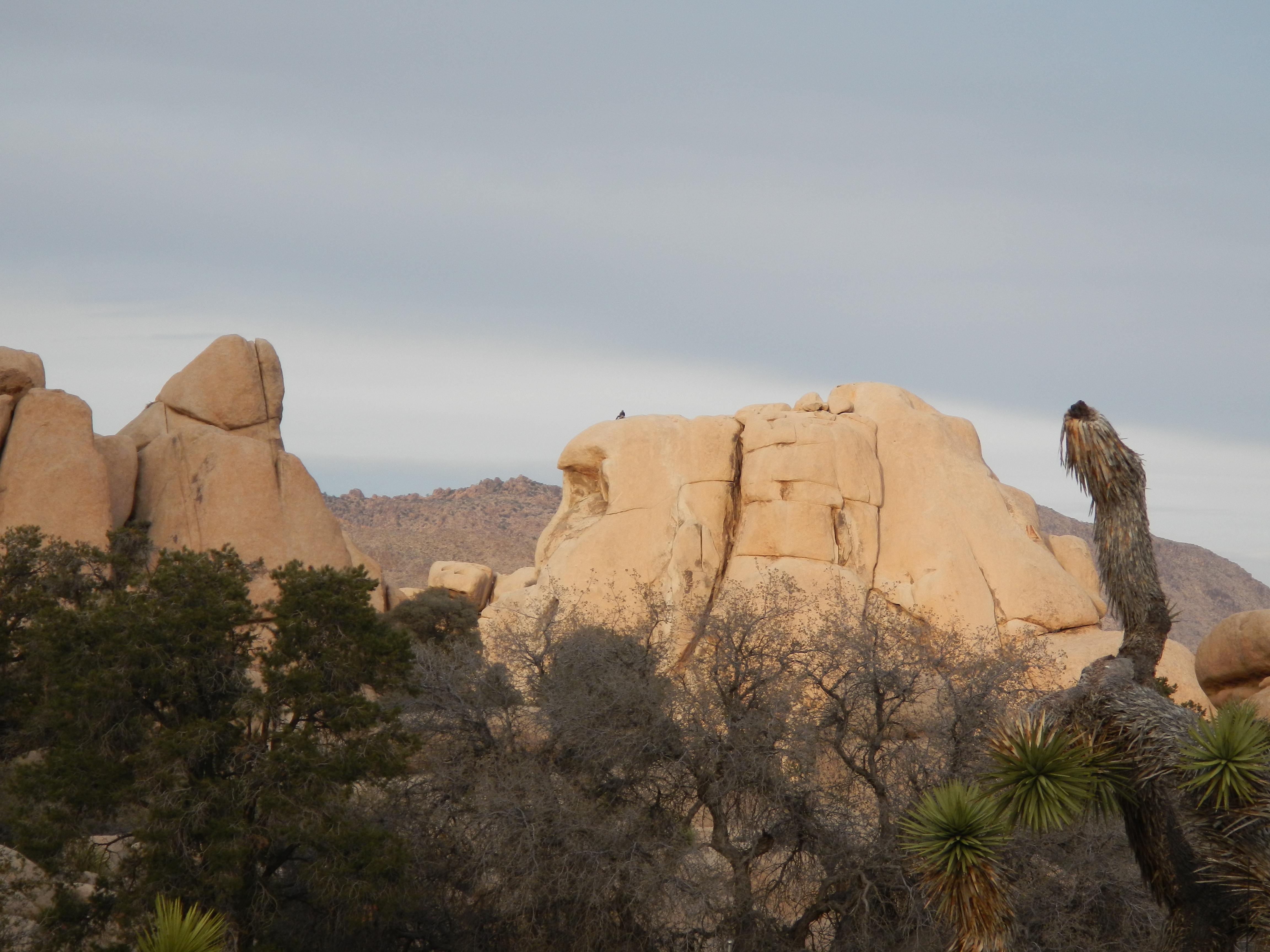 hidden-valley-climber