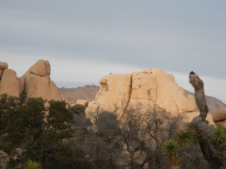hidden-valley-climber