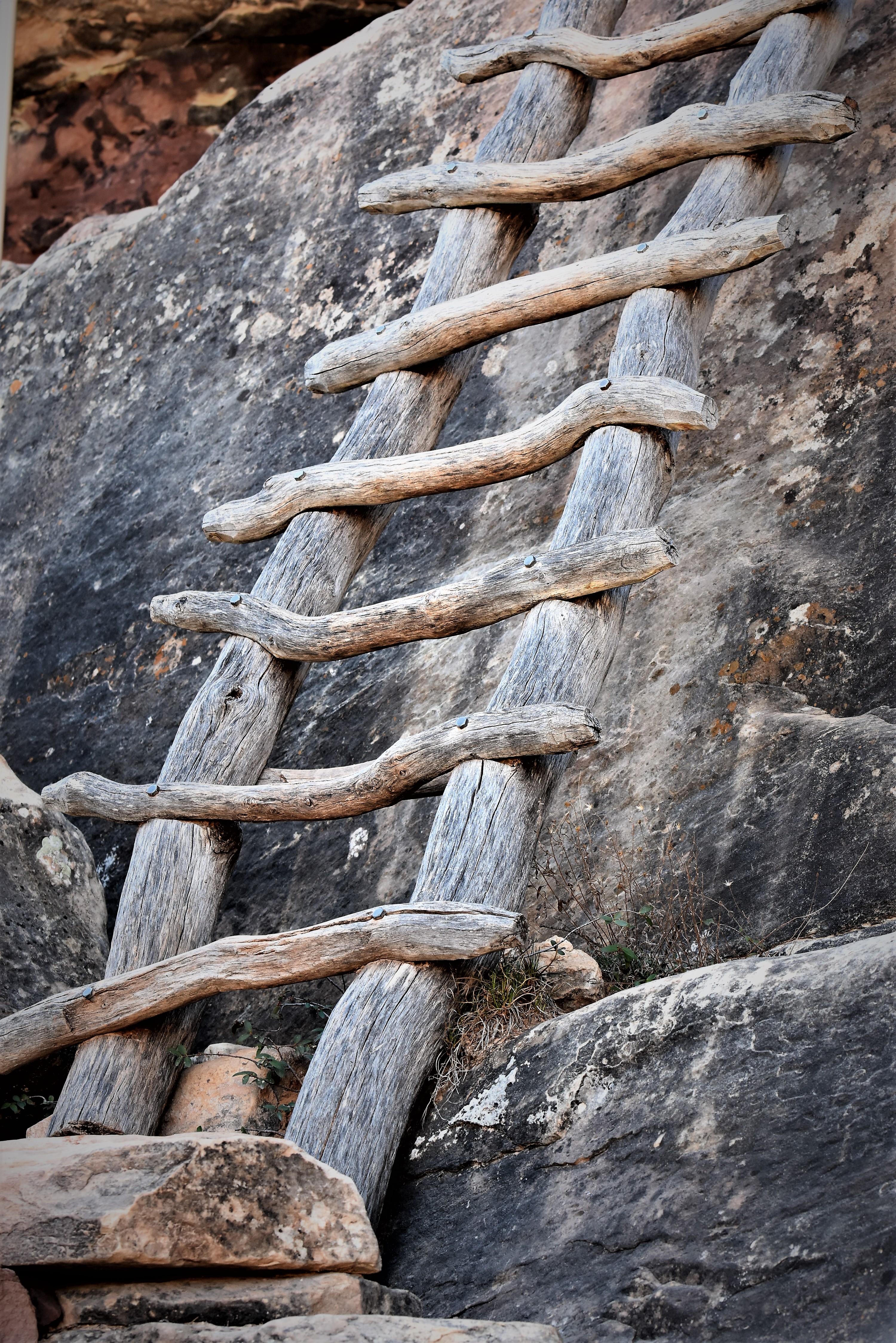 Ladder Natural Bridges