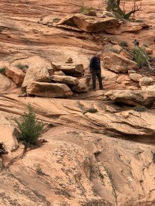 Lyle Climbing Moon House CYN