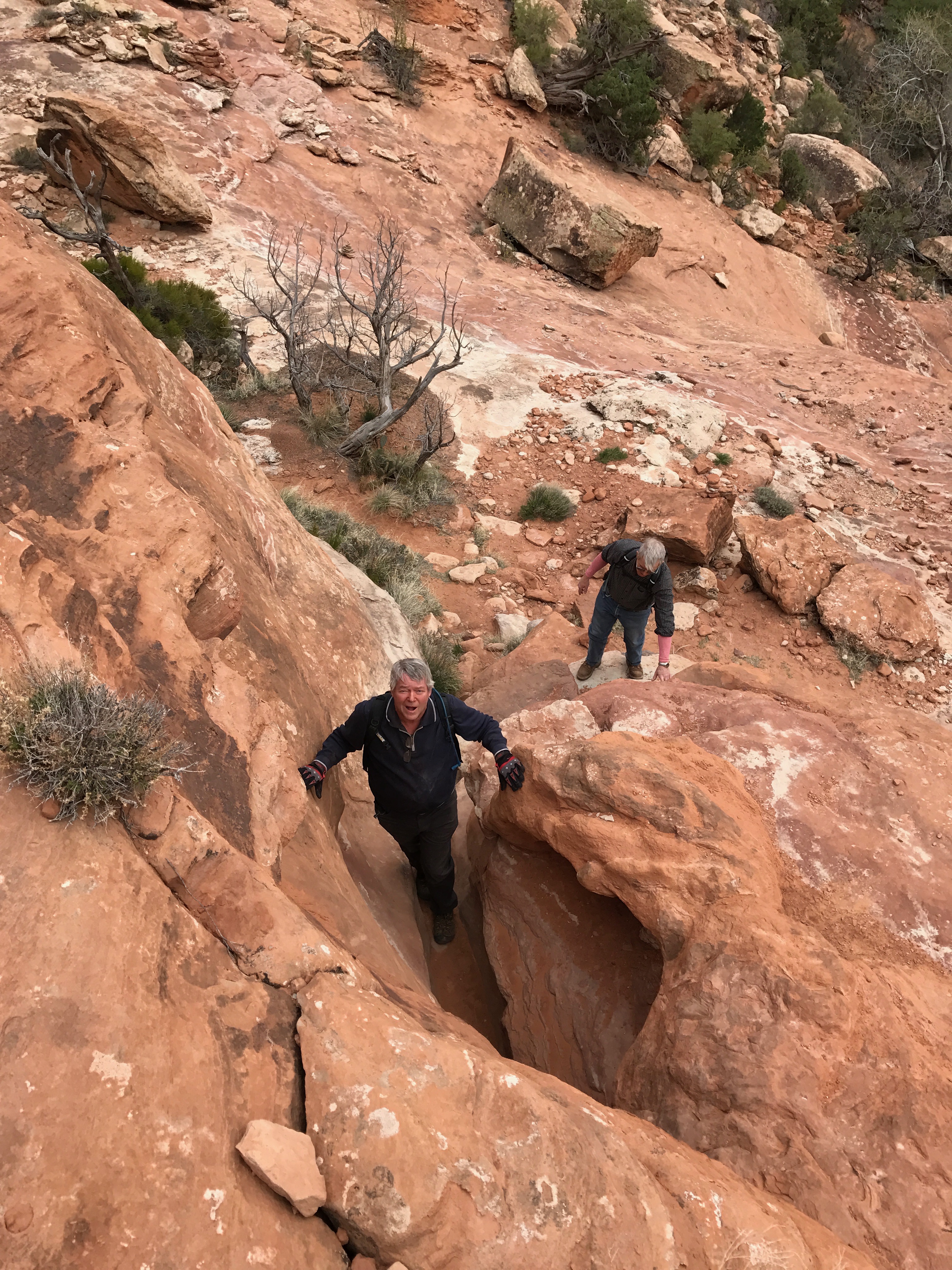 Lyle Ron Climbing Moon CYN