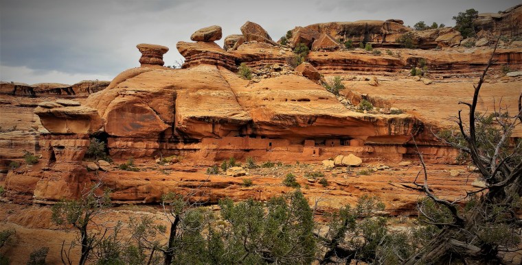 Moon House Cross Canyon2