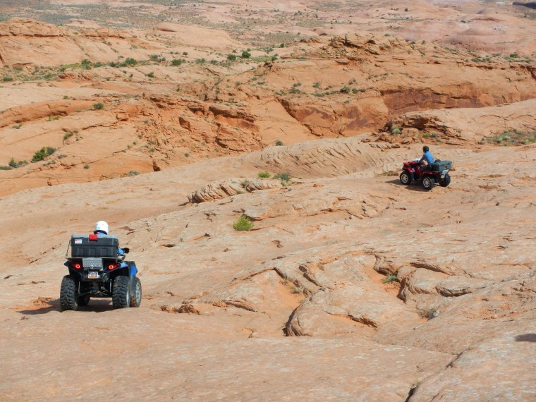 Terrie Mark Down Hill