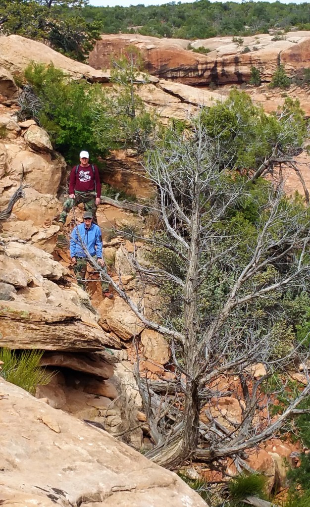 TerrieMark Moon House Climb2