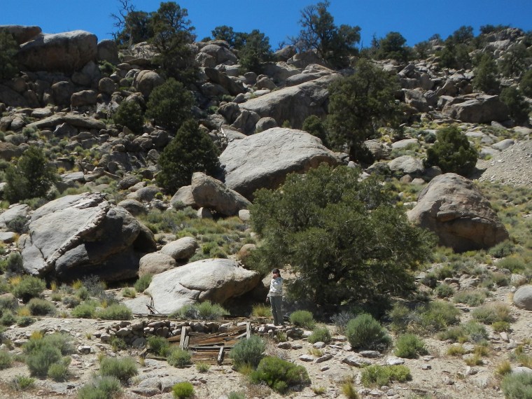 Bass Cabin Cindy Sypherd