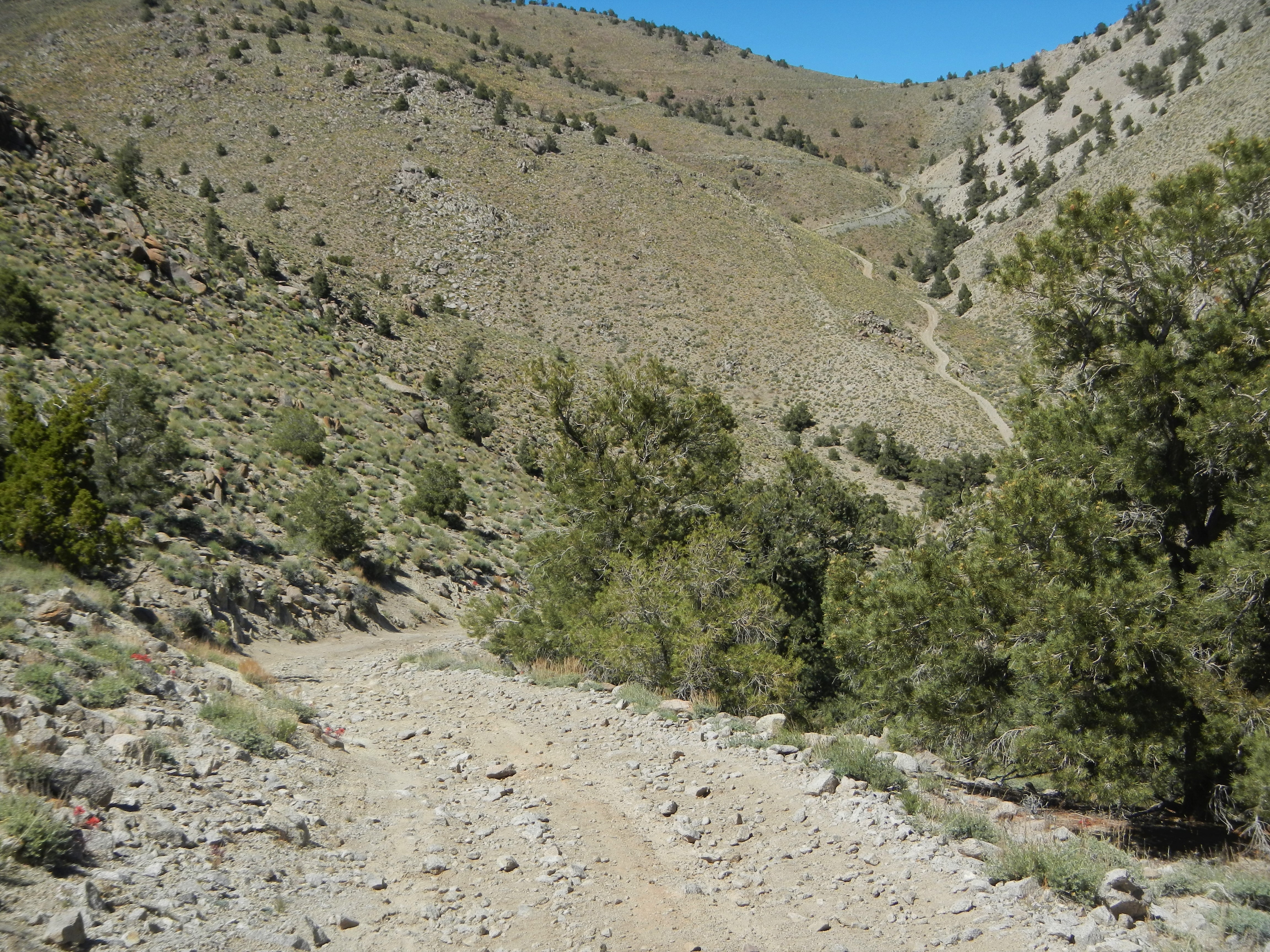 Bass Cabin SwitchBacks