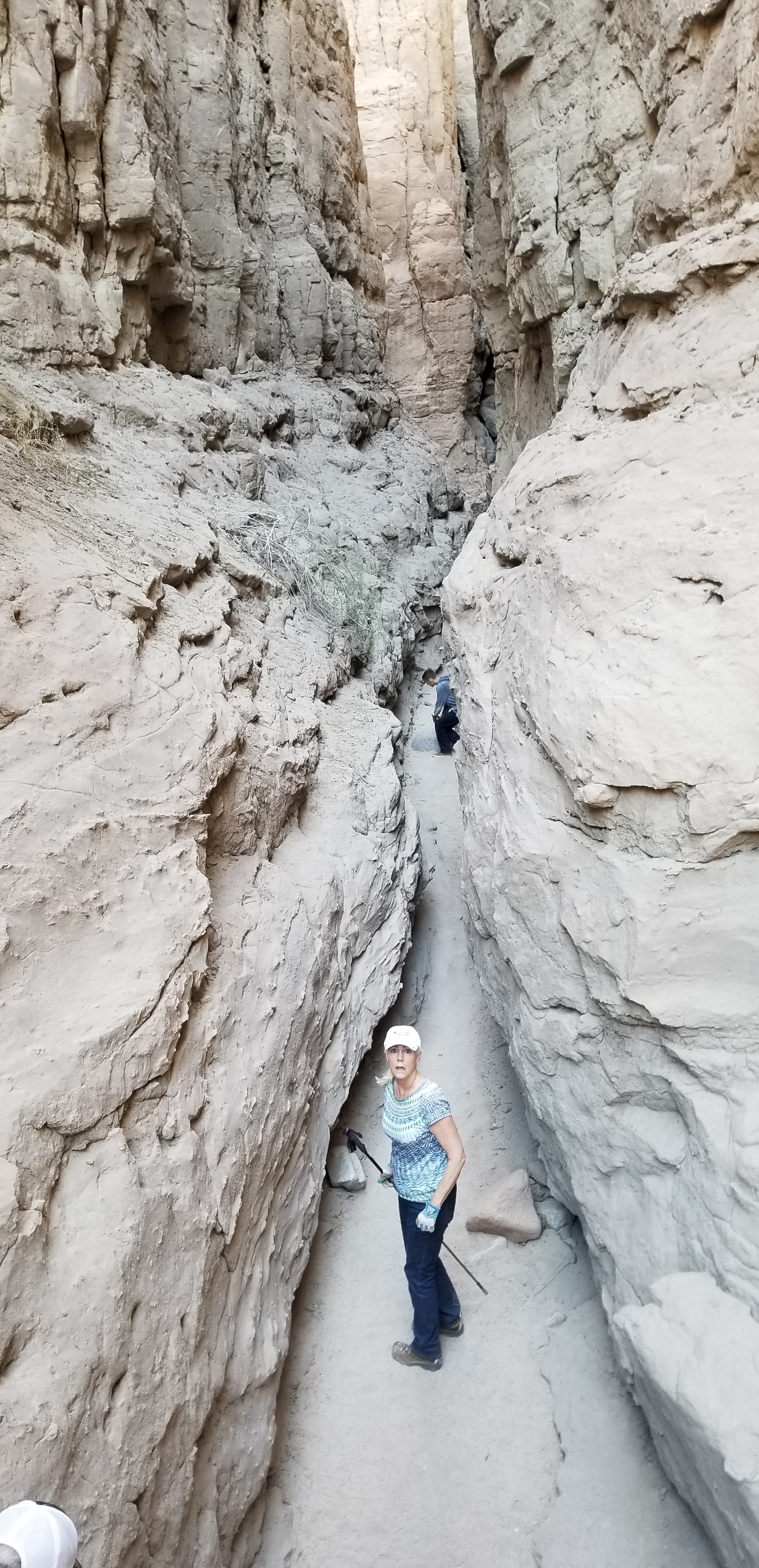 Denise Zak Ropes 2018