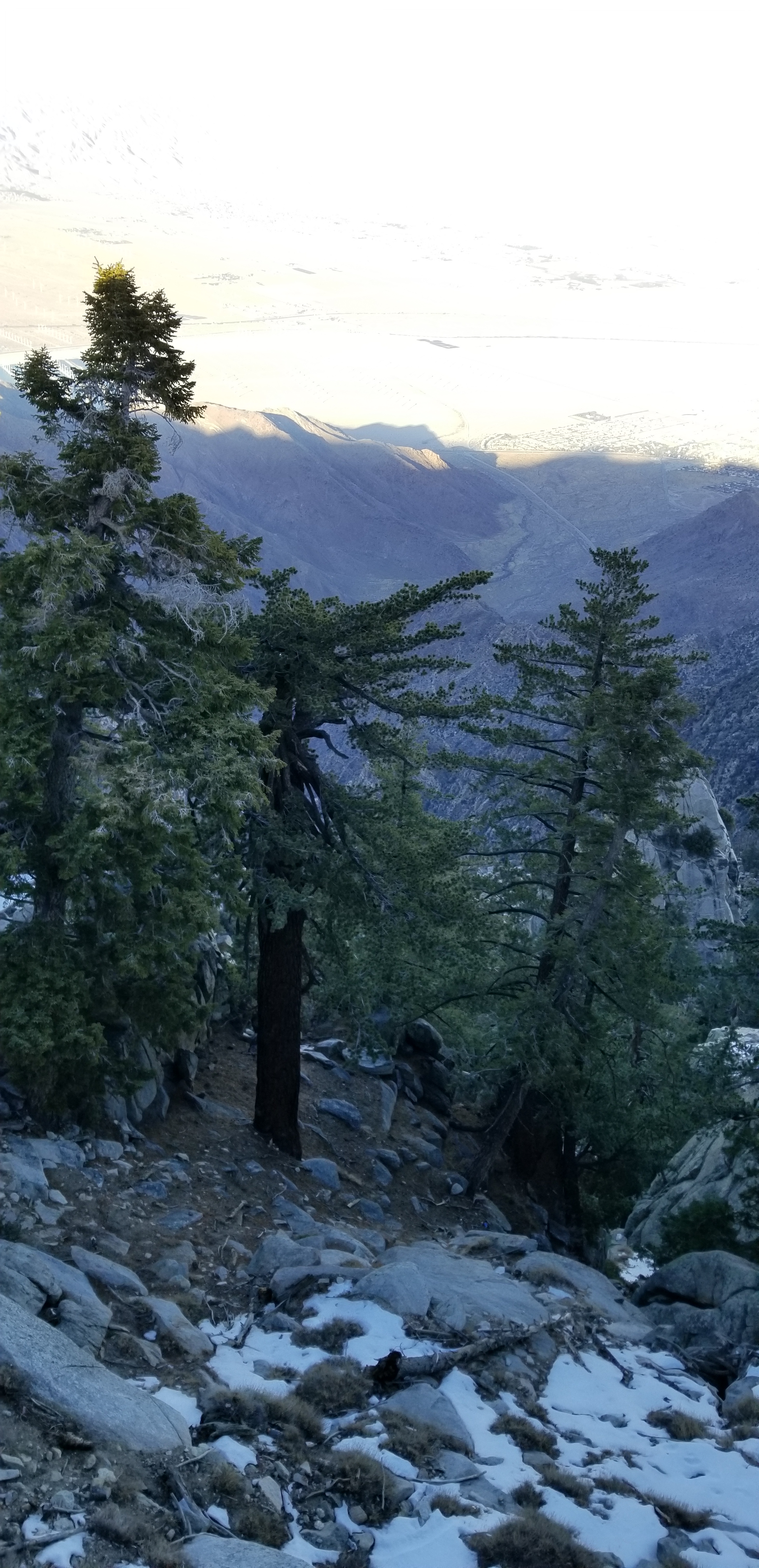 Palm Springs Tram Overlook2
